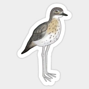 Annoyed bush stone curlew Sticker